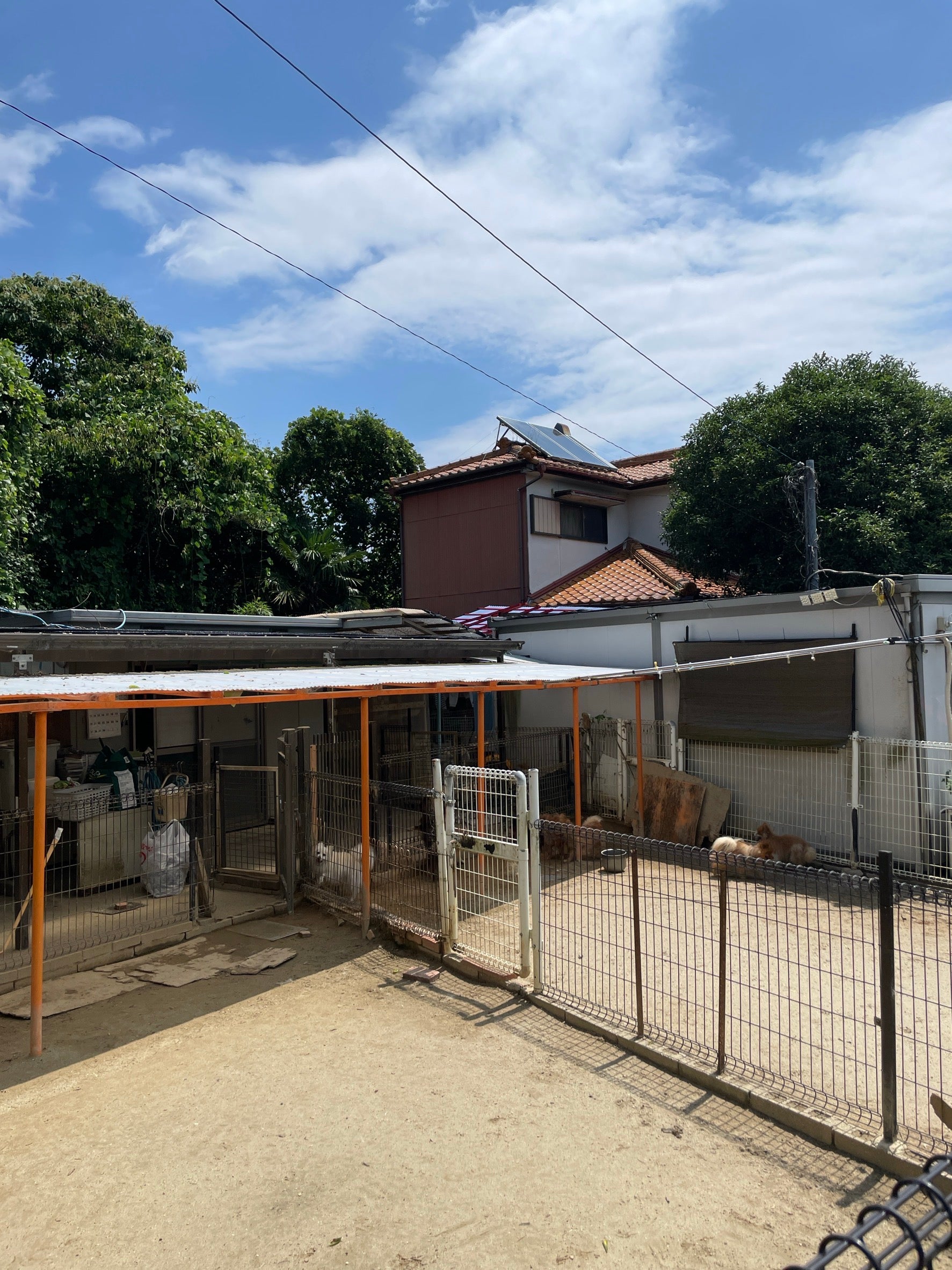 完全予約制にて見学を受付中！の写真